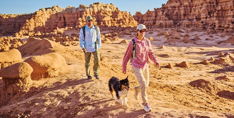 Expert tips for epic outdoor excursions with your four-legged friend