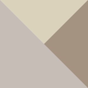 Truffle, Ancient Fossil