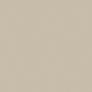 Canvas Tan, Ancient Fossil