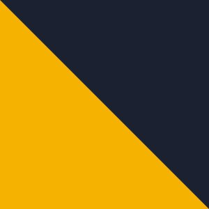 WV - Collegiate Navy, MLB Gold