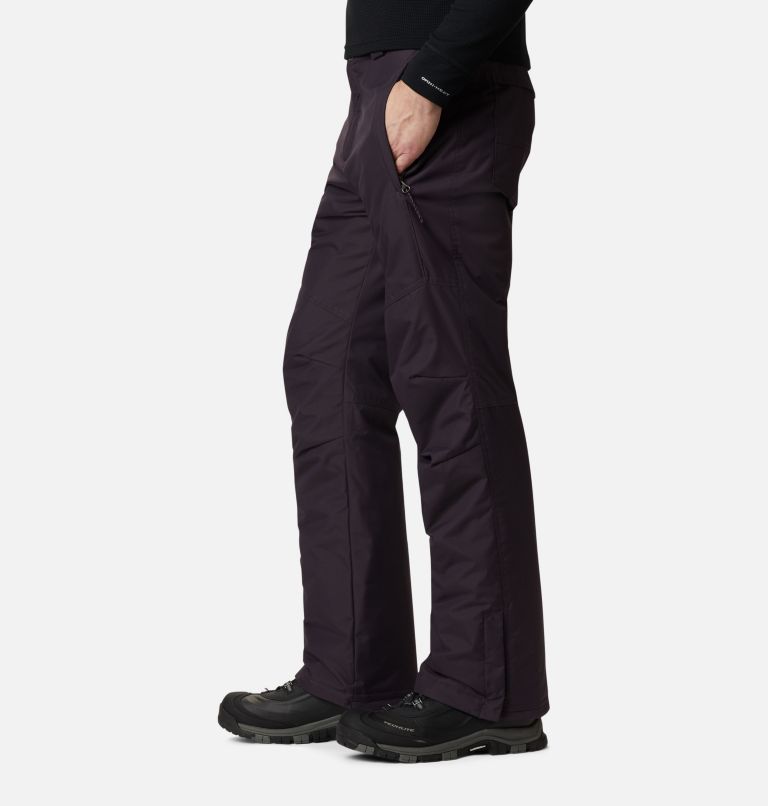 Thumbnail: Men's Bugaboo IV Ski Pant, Color: Dark Purple, image 3