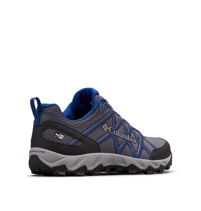 PEAKFREAK X2 OUTDRY, Color: Shark, Royal, image 9