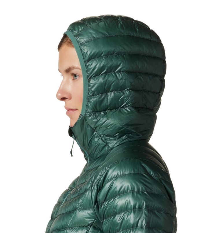 Thumbnail: Ghost Whisperer/2 Hoody | 365 | L, Color: Mint Palm, image 5