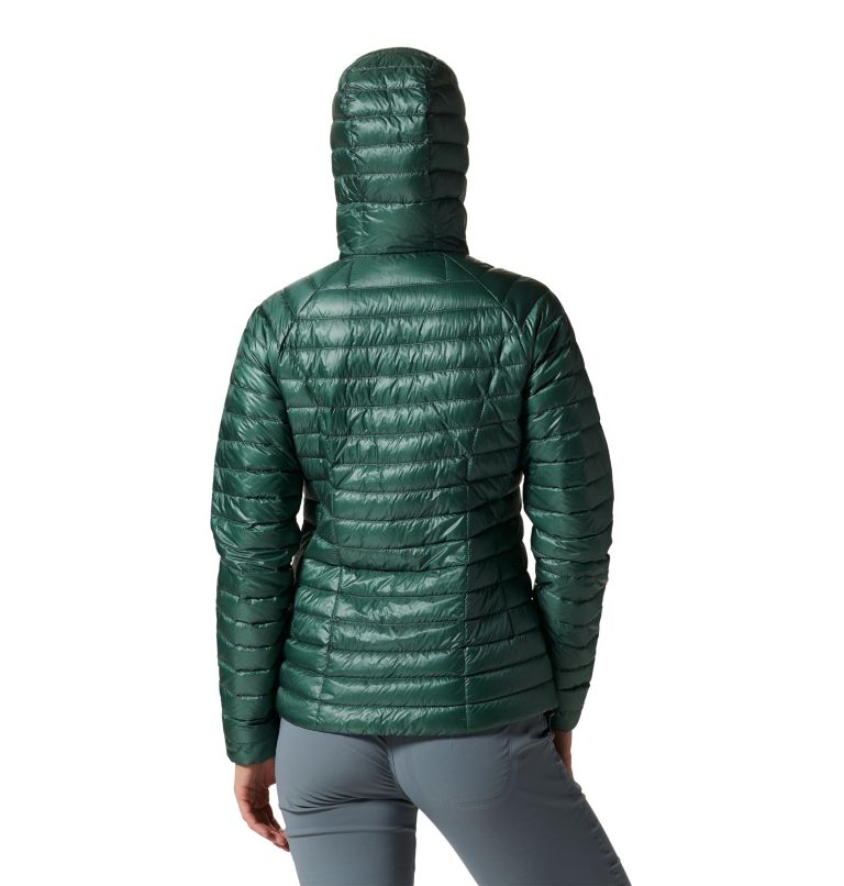 Thumbnail: Ghost Whisperer/2 Hoody | 365 | M, Color: Mint Palm, image 2