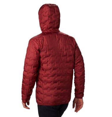Men's Delta Ridge Down Hooded Jacket Delta Ridge&trade; Down Hooded Jacke | 010 | M, Red Jasper, back