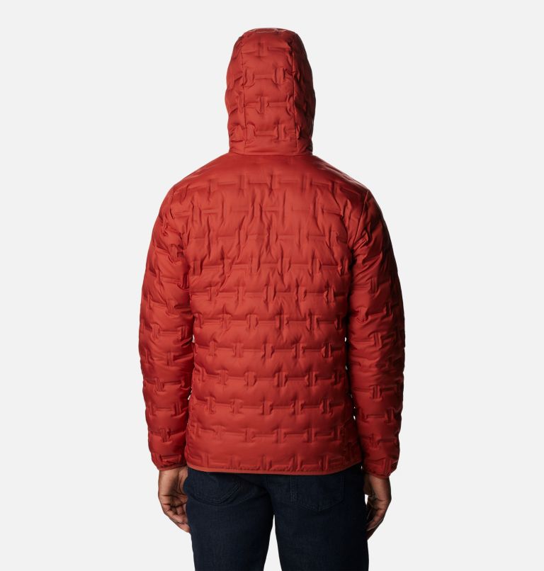 Thumbnail: Men's Delta Ridge Down Hooded Jacket, Color: Warp Red, image 3