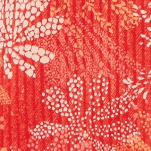 Bright Poppy Got Florals