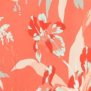 Bright Poppy, Magnolia Print