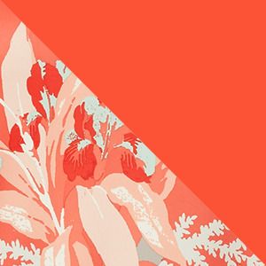 Bright Poppy, Magnolia Print