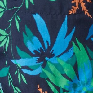 Nocturnal Magnolia Print