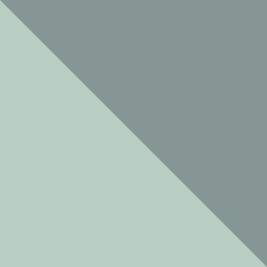 New Mint, Light Lichen