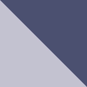 New Moon, Nocturnal, Twilight