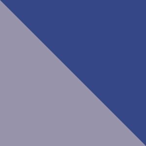 Twilight, African Violet