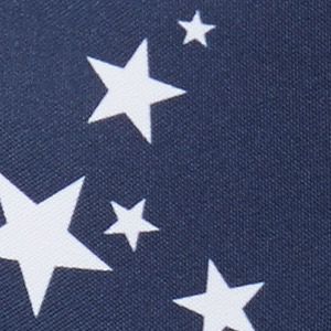 Nocturnal Starlit Print, Nocturnal