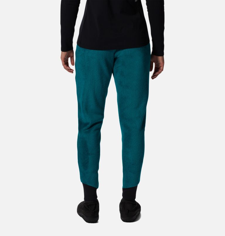 Women's Polartec® High Loft® Pant, Color: Botanic, image 2
