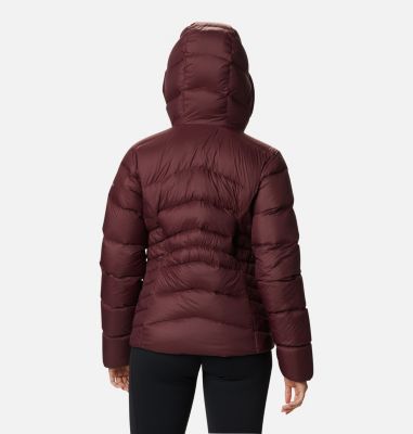 Women's Autumn Park&trade; Down Hooded Jacket Autumn Park&trade; Down Hooded Jacket | 010 | M, Malbec, back
