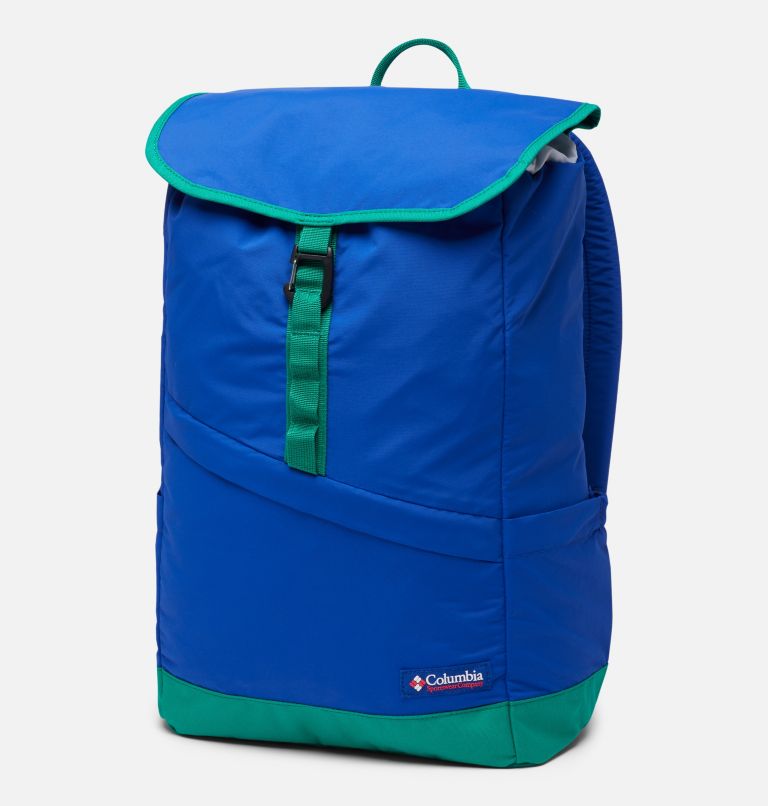 Blue and 2025 green backpack