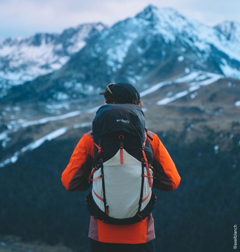 Fossil summit outlet backpack