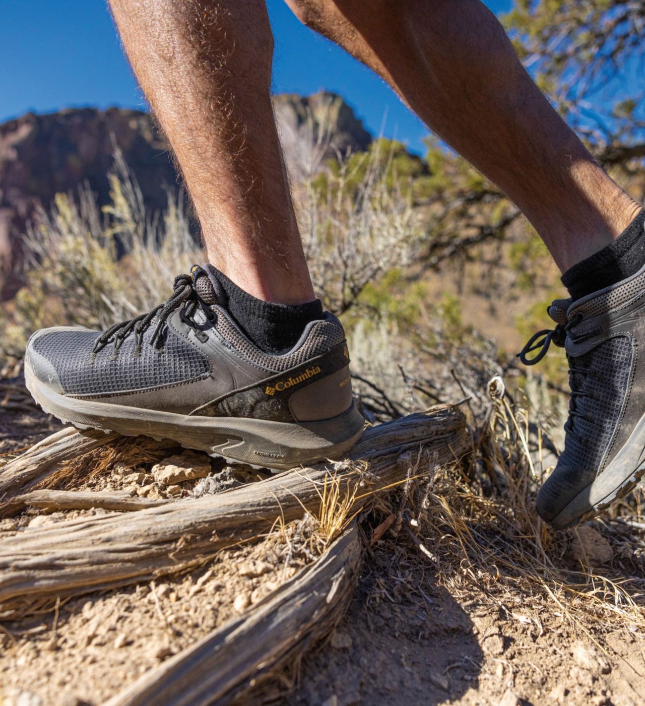 Men's Trailstorm™ Waterproof Shoe 10