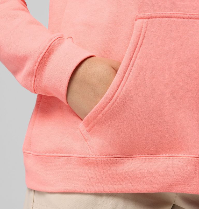 Women's Columbia Trek Graphic Hoodie, Color: Alpenglow, Gem Columbia Sleeve, image 7