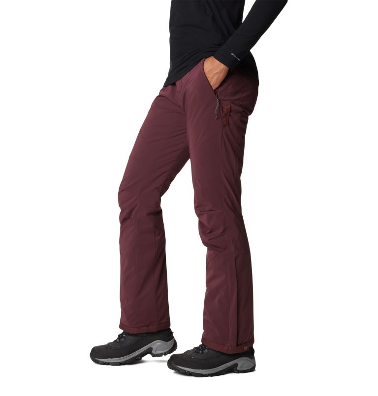 Women's Backslope II Waterproof Ski Pants, Color: Malbec, image 3