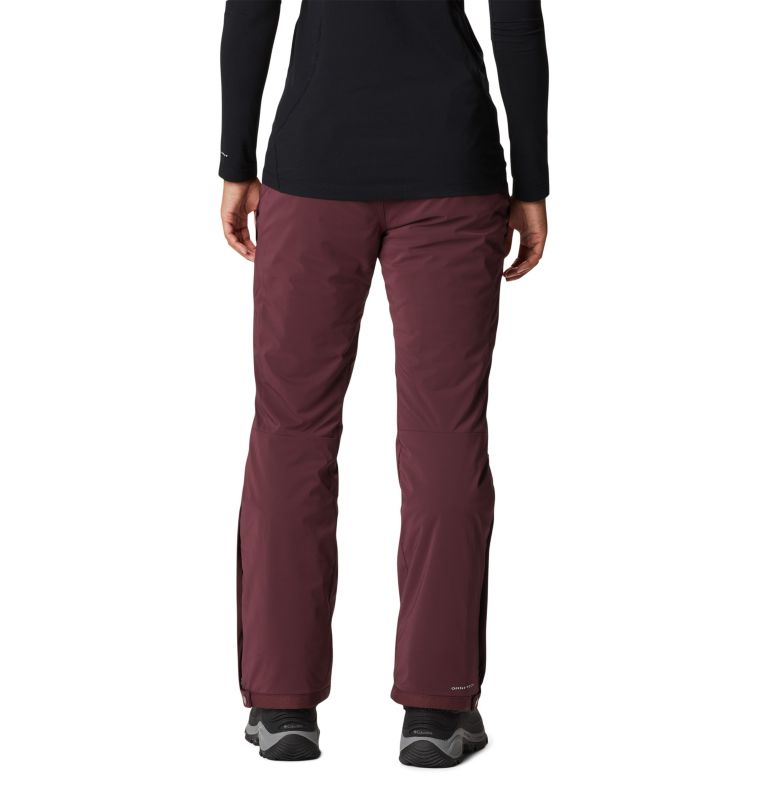 Women's Backslope II Waterproof Ski Pants, Color: Malbec, image 2