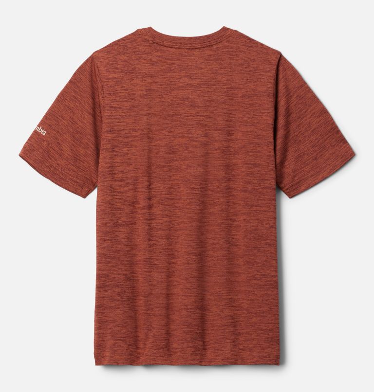 Boys' Mount Echo Short Sleeve Graphic Shirt, Color: Auburn, Bearly Stroll, image 2