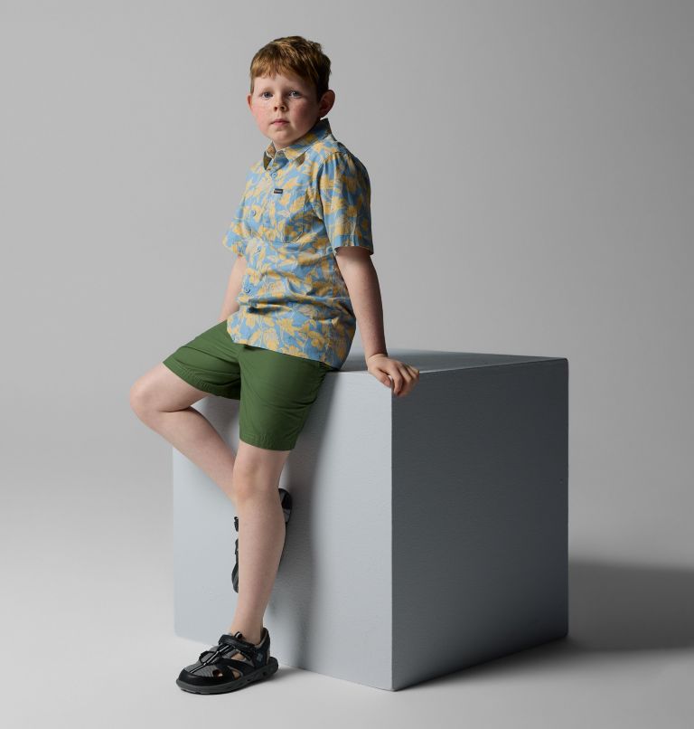 Boys' Washed Out Shorts, Color: Canteen, image 3