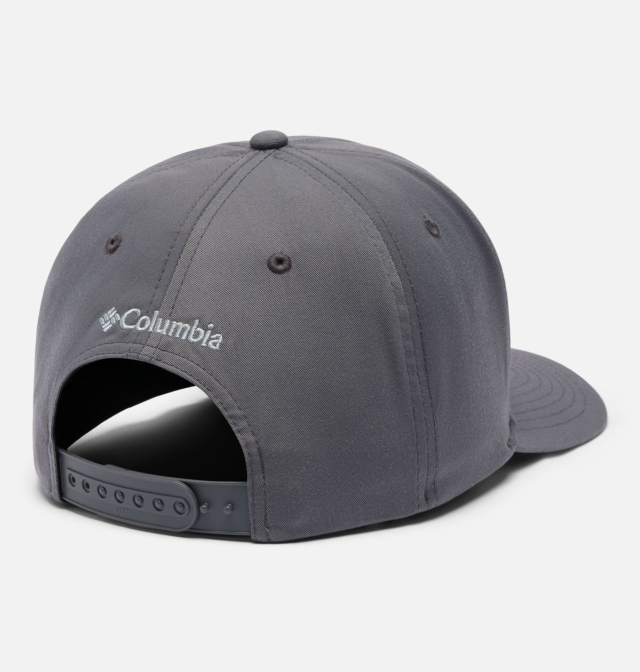 Lost Lager™ 110 Snapback Hat 2