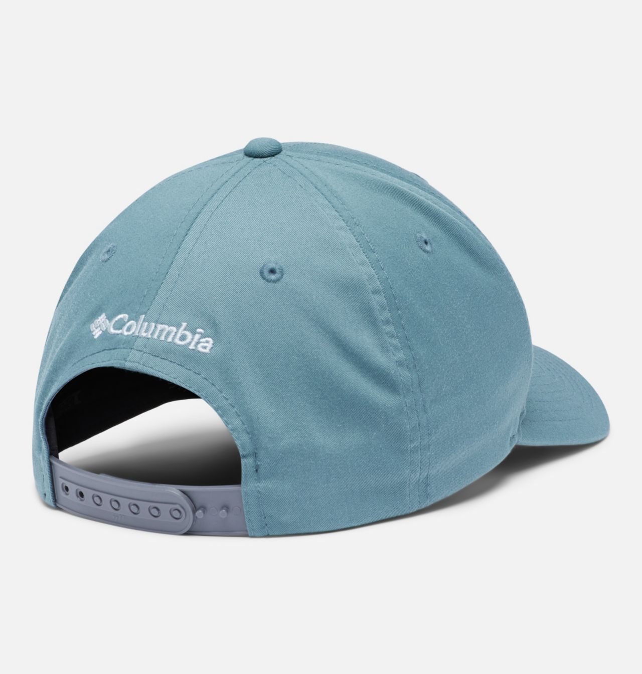 Lost Lager™ 110 Snapback Hat 4