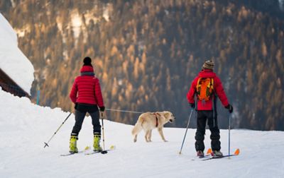 Two people on skis cross a snow-covered slope. One person is being towed by a dog