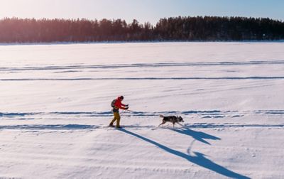 Person on skis is pulled by dog through snowy field.