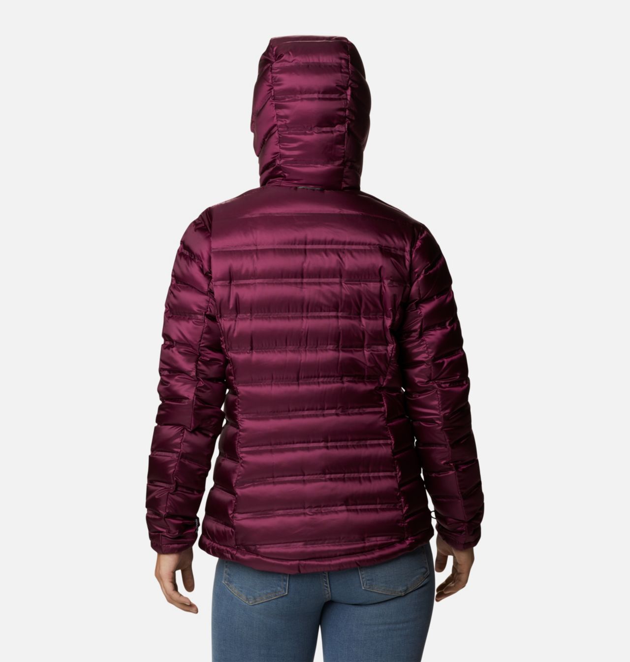 Women's Pebble Peak™ Down Hooded Jacket 2