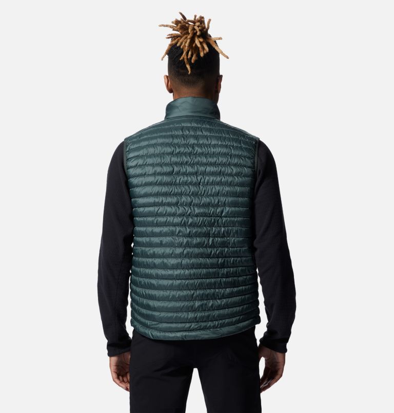 Men's Alpintur Vest, Color: Black Spruce, image 2