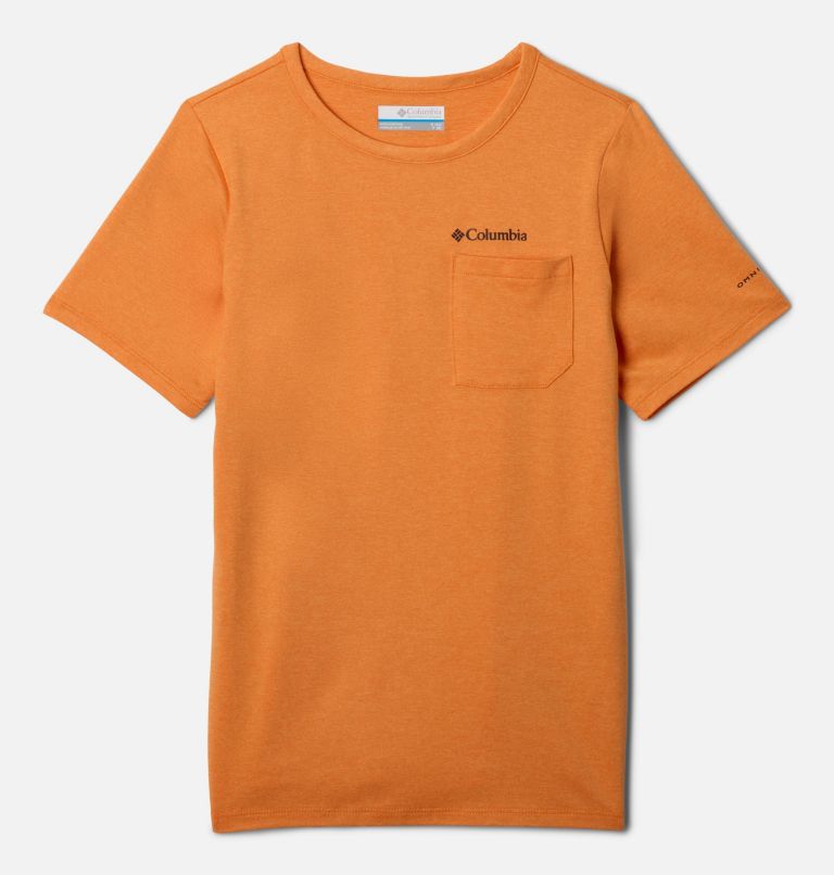 Boys' Tech Trail T-Shirt, Color: Koi Heather, image 1