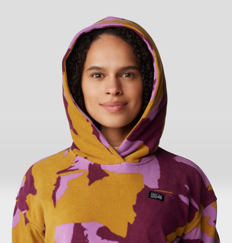 Women s Microchill Hoody Mountain Hardwear