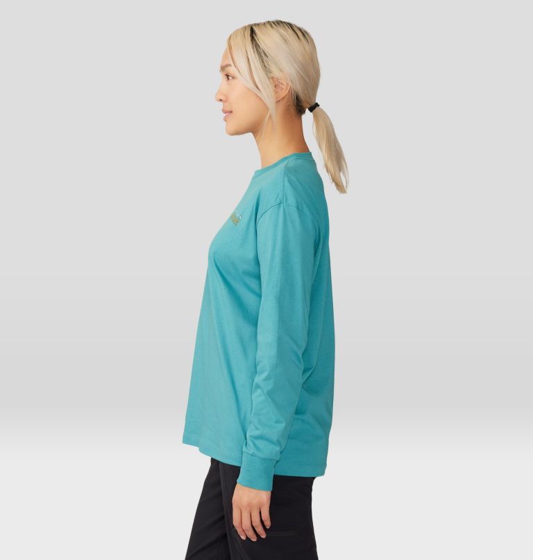 Logo Landscape Boxy Long Sleeve, Color: Palisades, image 3