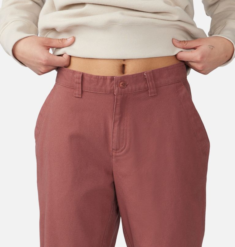 Women's Jackson Ridge Pant, Color: Clay Earth, image 4