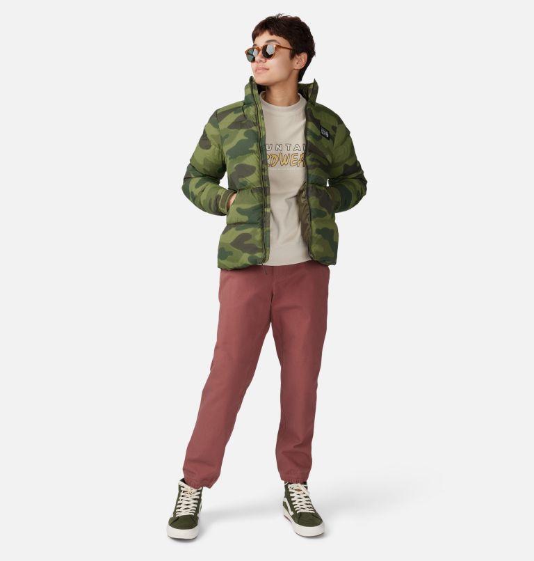 Women's Jackson Ridge Pant, Color: Clay Earth, image 8