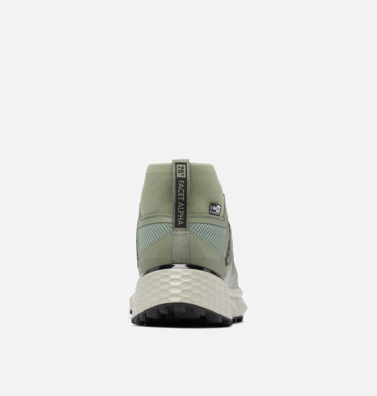 Men's Facet™ 75 Alpha OutDry™ Shoe 2