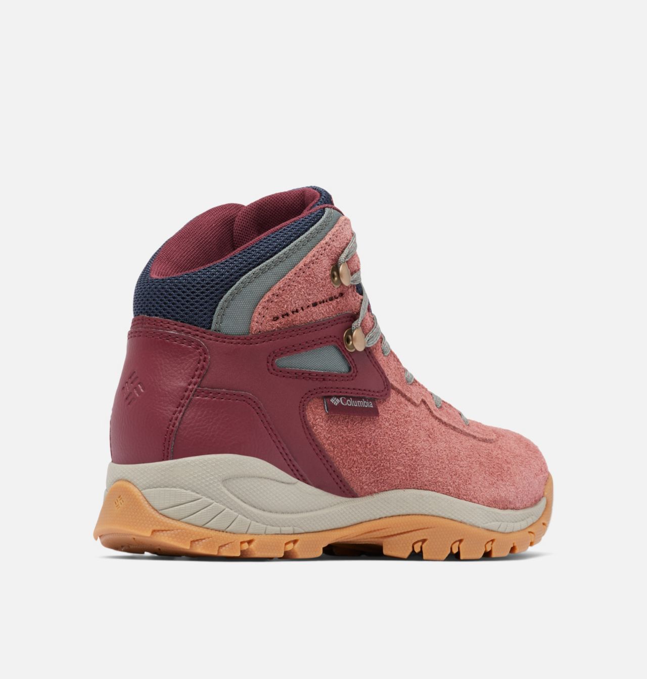 Botte Newton Ridge™ BC pour femmes 10