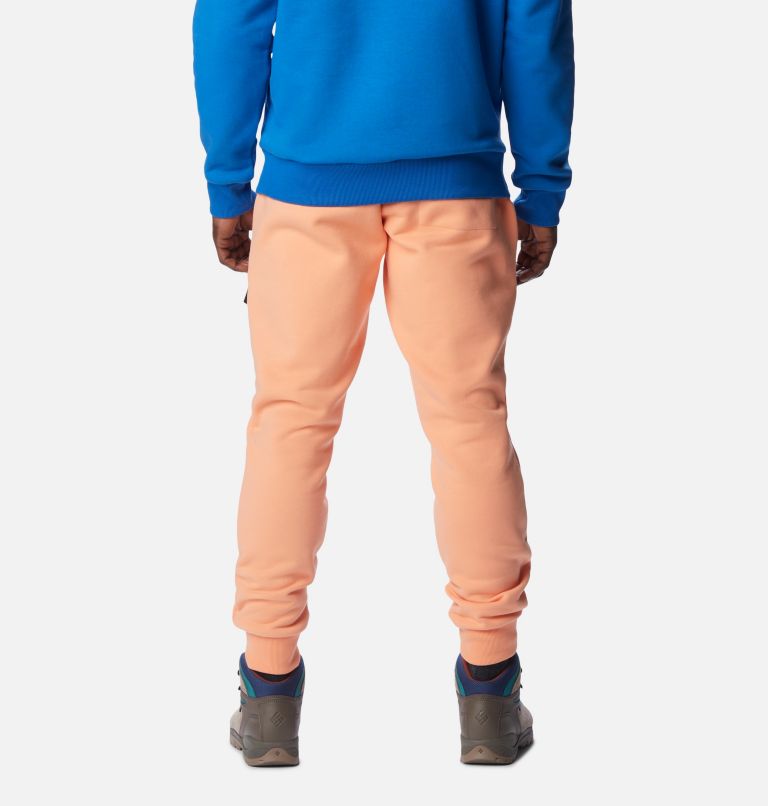 Pantalon de Jogging Wintertrainer Homme, Color: Bright Nectar, image 2
