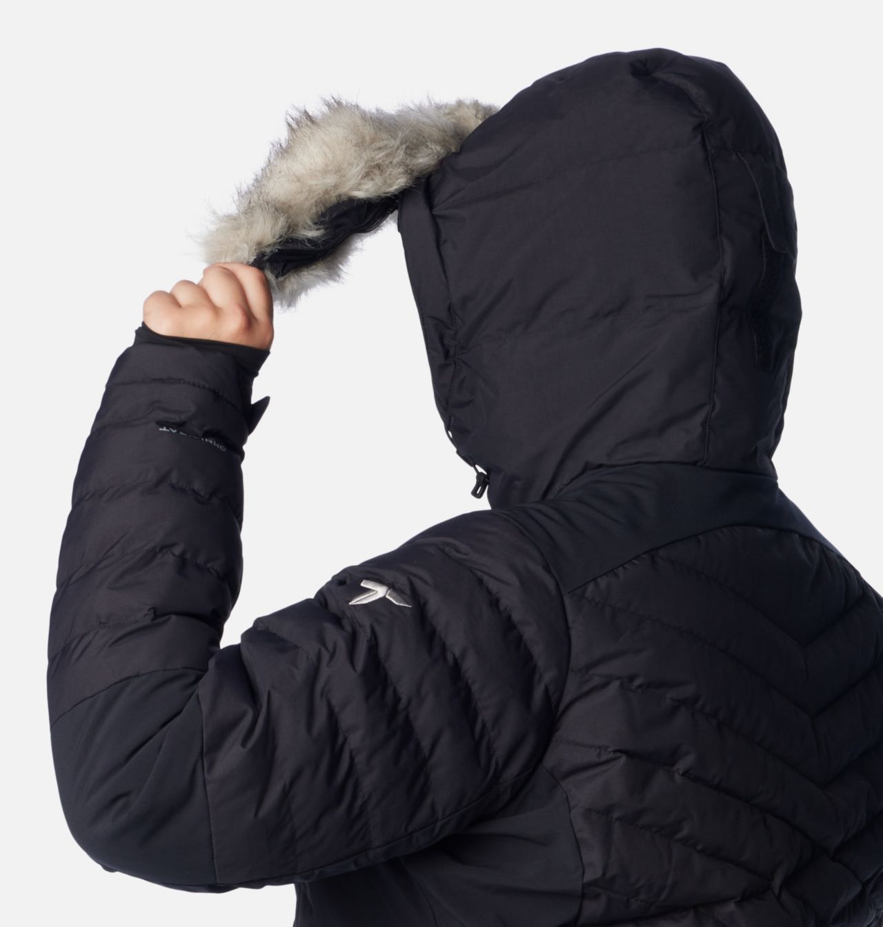 Women's Bird Mountain™ II Insulated Jacket - Plus Size 8