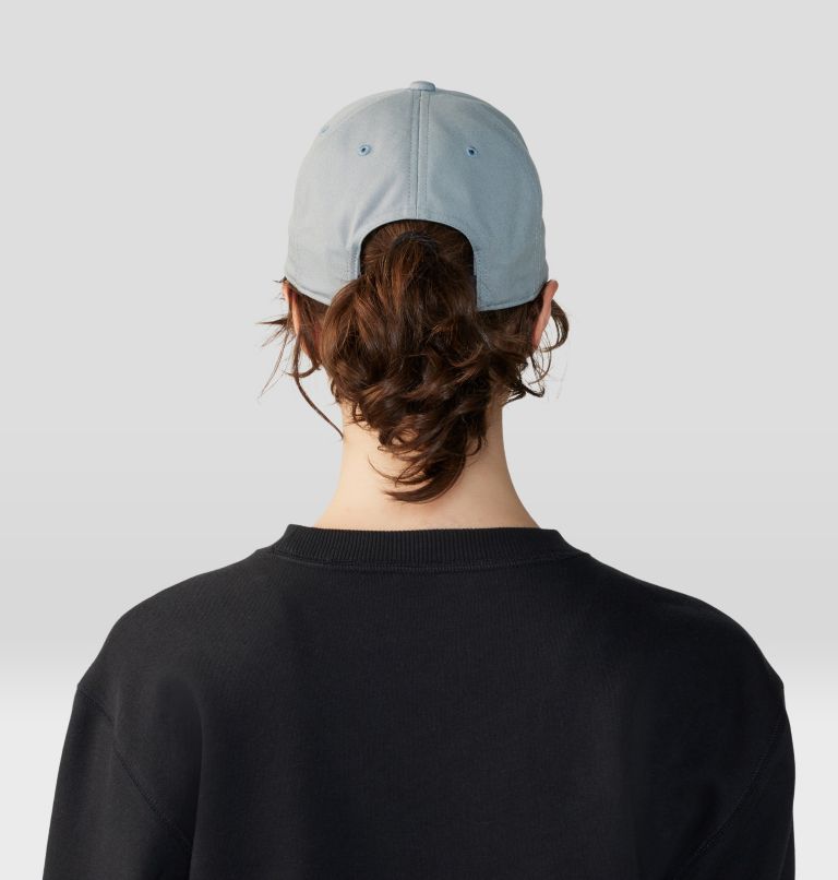 MHW Logo Cap, Color: Light Zinc, image 7