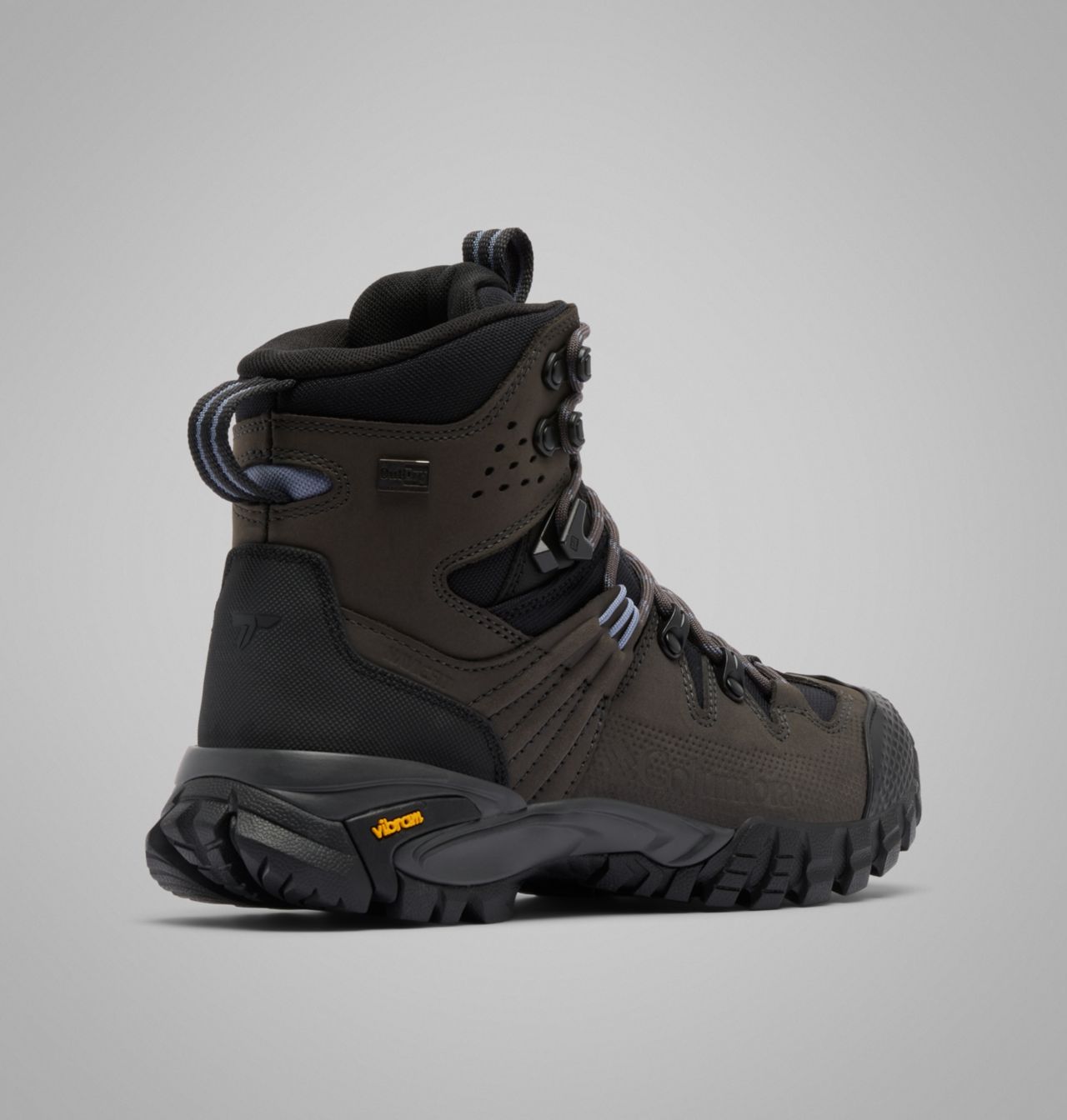 Women's GeoTerra™ OutDry™ Leather Boot 10