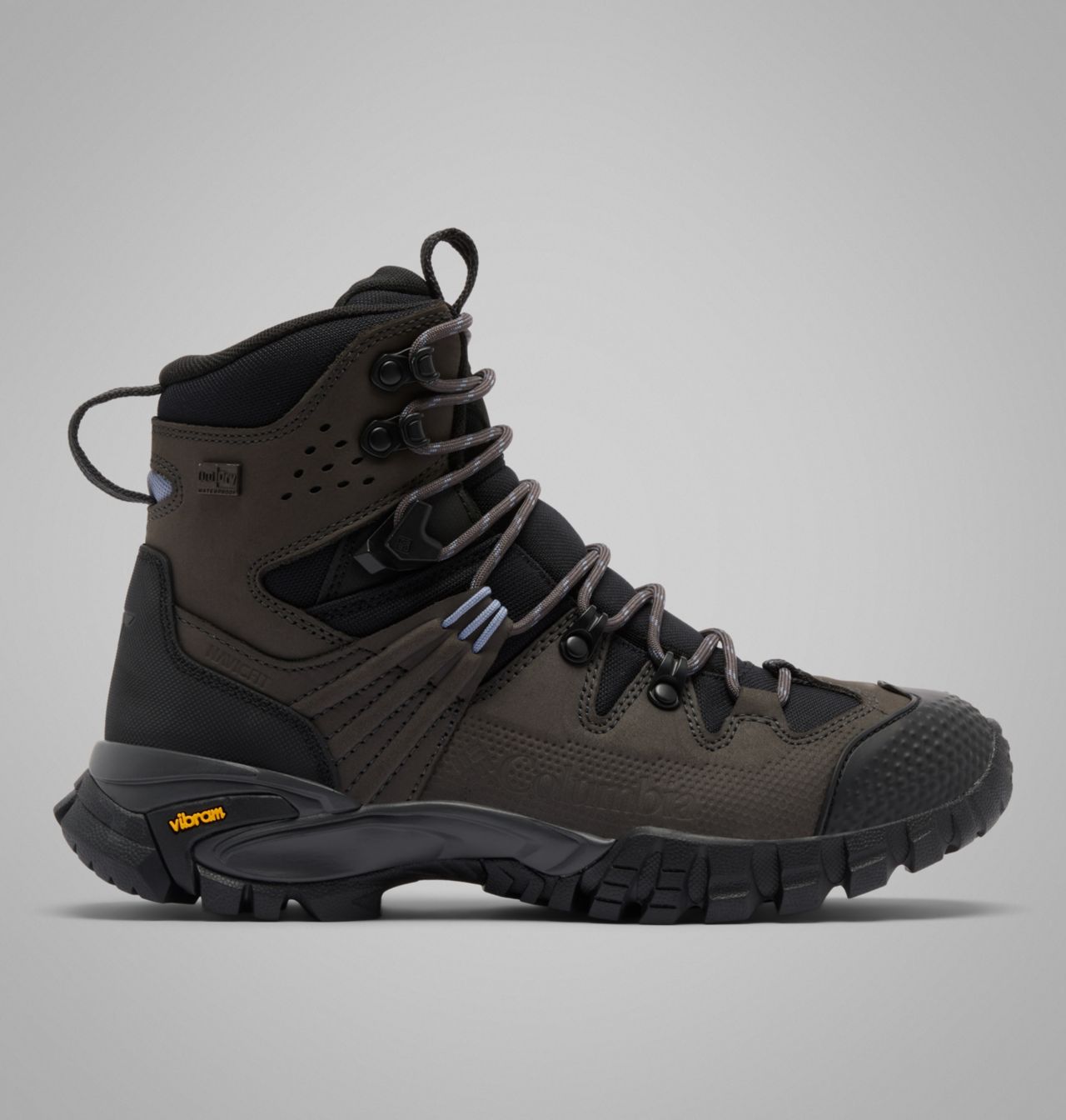 Women's GeoTerra™ OutDry™ Leather Boot 1