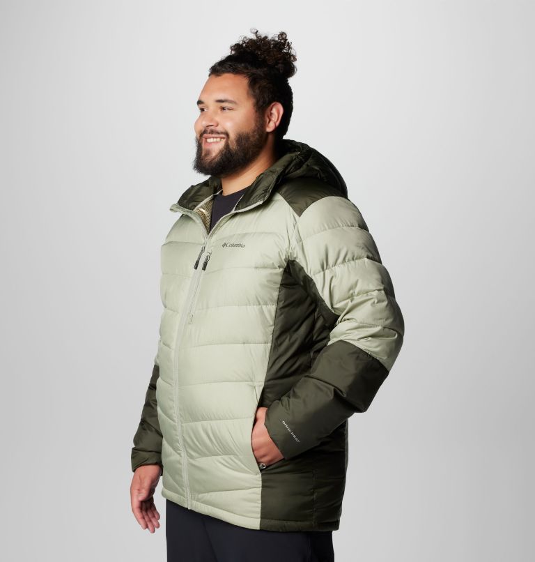 Men's Labyrinth Loop II Hooded Jacket - Big, Color: Safari, Greenscape, image 4