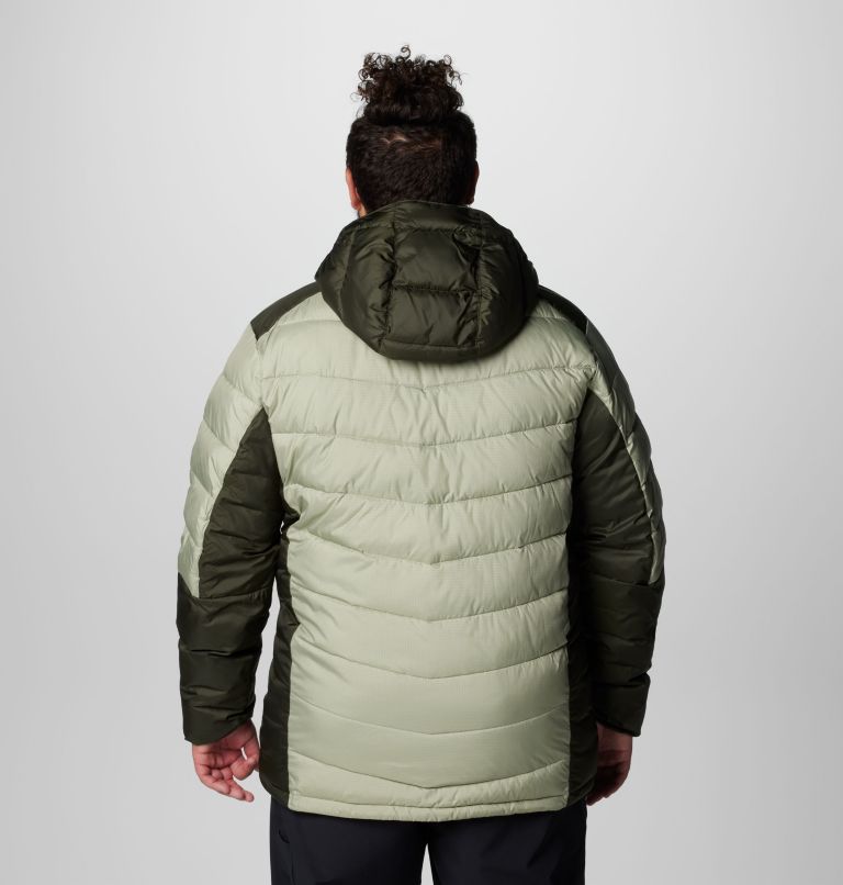 Men's Labyrinth Loop II Hooded Jacket - Big, Color: Safari, Greenscape, image 2