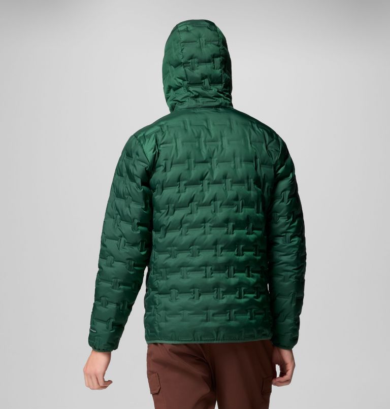 Men's Delta Ridge II Down Hooded Jacket, Color: Rain Forest, image 9