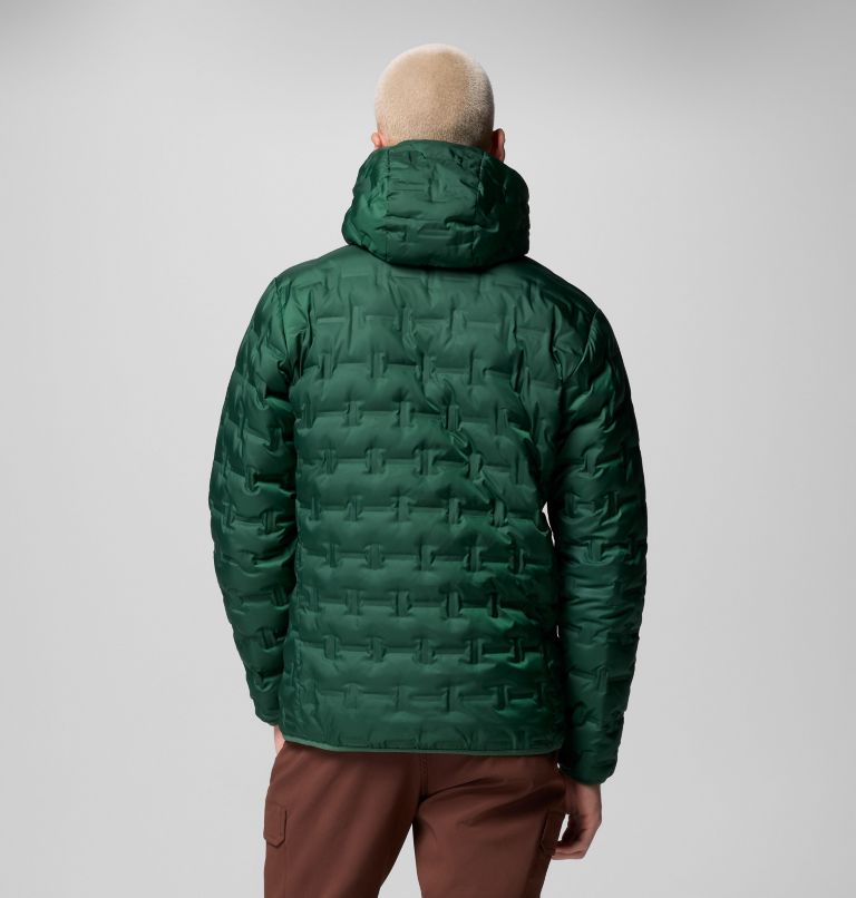 Men's Delta Ridge II Down Hooded Jacket, Color: Rain Forest, image 3